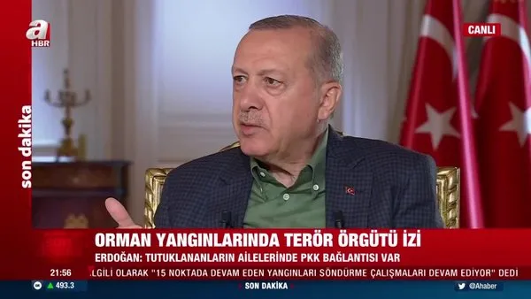 Orman yangınlarında terör örgütü izi! Başkan Erdoğan: Ciğerimizi yakanların ciğerini yakacağız | Video