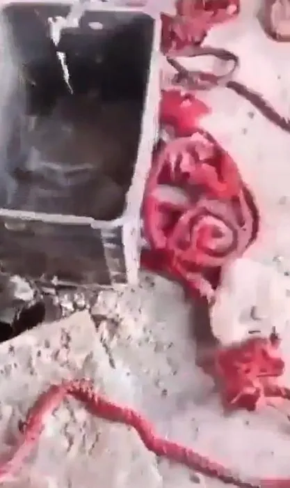 SON DAKİKA | Esad rejiminin işkence merkezi: Sednaya! Pres makineleriyle insanları ezmişler! Dehşete düşüren detaylar