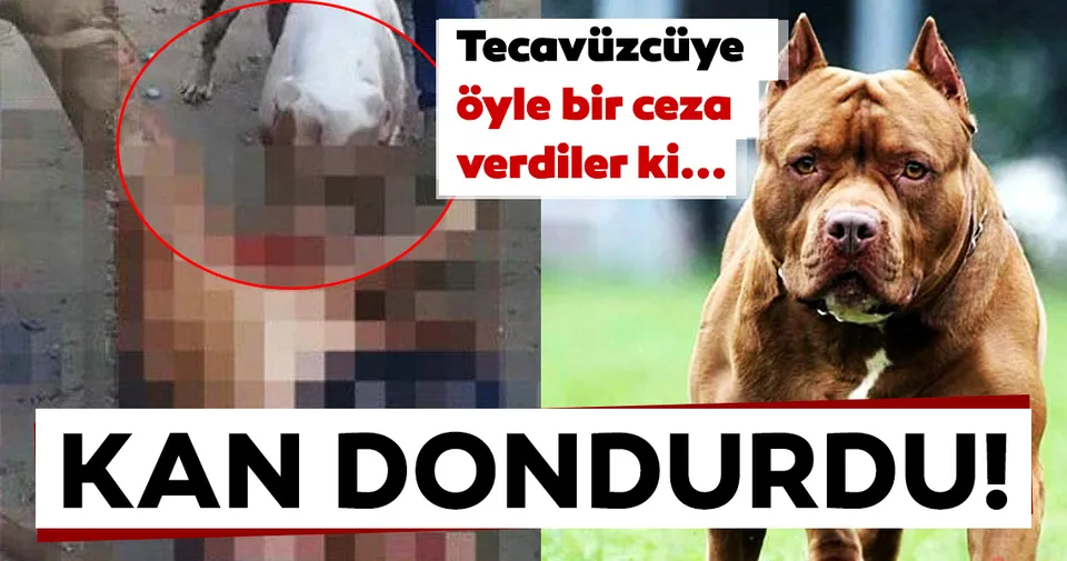 son dakika haberi tecavuzcuye