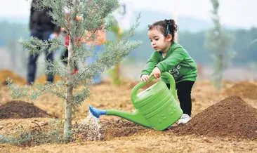 Rekor ağaca rekor davet