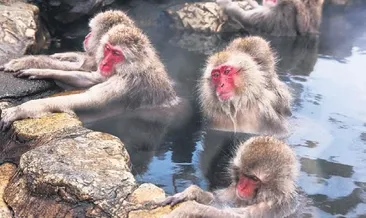 Başımıza uzaydan çöp yağıyor!