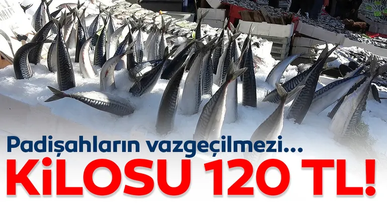 Padişahların vazgeçilmezi! Kilosu 120 TL...