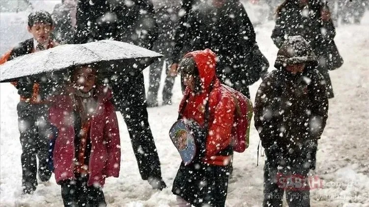 20 Kasım Pazartesi hangi illerde okullar tatil? Valiliklerden peş peşe kar tatili açıklamaları: İşte detaylar