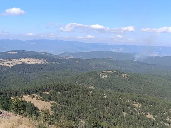 kastamonu-hanonunde-orman-yangini-buyumeden-sonduruldu-1755095395257.jpg