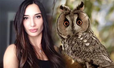 ‘Baykuş’a bilirkişi atandı