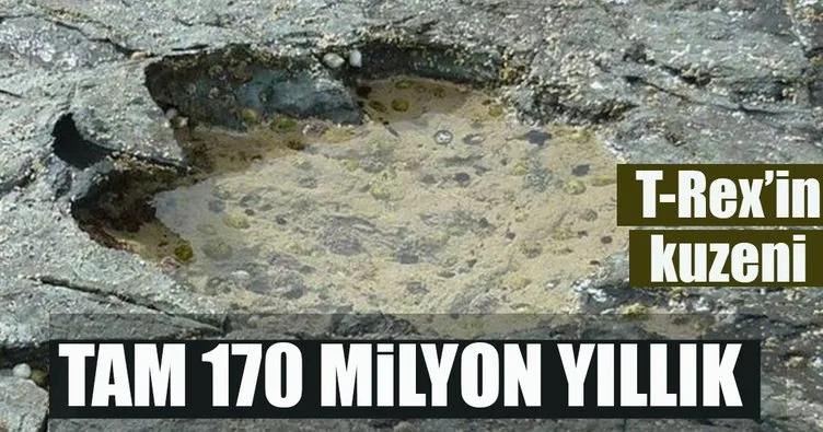 170 milyon yıllık dinazor ayak izi