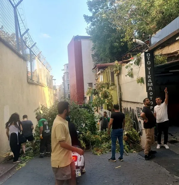 Fırtına İstanbul'da Ağaçları ve Direkleri Yan Yattı