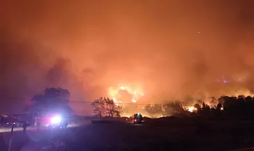 Son dakika: Bursa’da orman yangını