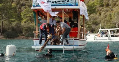 Muğla denizlerinde dev temizlik kampanyası