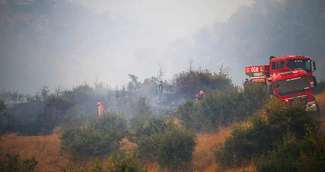 Aydın’da ormanlık alanda yangın çıktı! Bölgeye ekipler sevk edildi