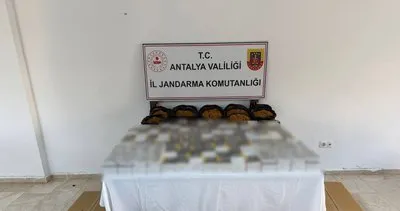 Antalya’da  kaçak tütün operasyonu 
