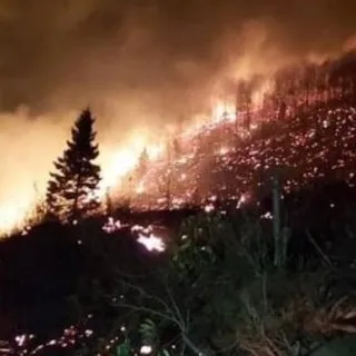 Son dakika: Rize ve Trabzon'da yeni orman yangınları! Karadeniz’deki yangınlarda son durum
