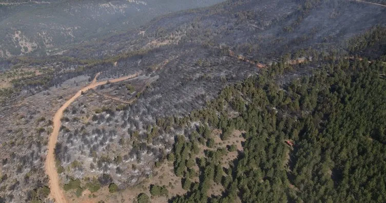 Ilgaz‘daki orman yangını nedeniyle tedbir amaçlı 4 köy boşaltılırken, 4 ayrı noktada söndürme çalışmaları yapılıyor