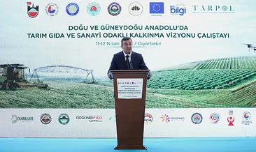 Cumhurbaşkanı Yardımcısı Cevdet Yılmaz: Terörün gündemden düştüğü dönemde tüm Türkiye kazanacak #diyarbakir