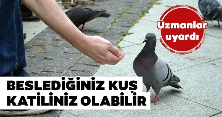Uzmanlar uyardı: ’Beslediğiniz kuş katiliniz olabilir’