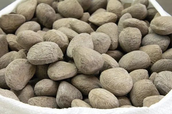Dünyanın en tehlikeli yiyecekleri