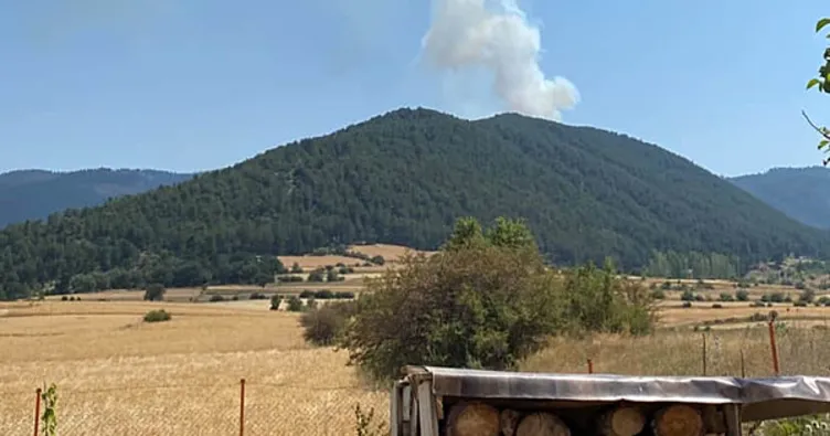 Son dakika: Çankırı’da orman yangını