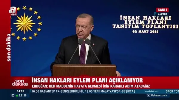 Başkan Erdoğan 11 maddelik İnsan Hakları Eylem planını açıkladı | Video