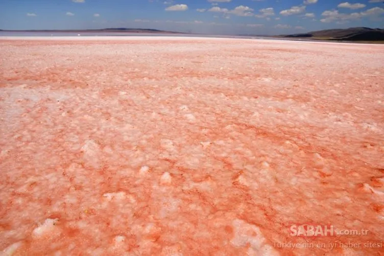 Tuz Gölü’nde kırmızı beyaz şölen