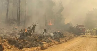 Son dakika: Mersin’de korkutan orman yangını! Yerleşim yerleri tehdit altında: 110 ev tahliye edildi