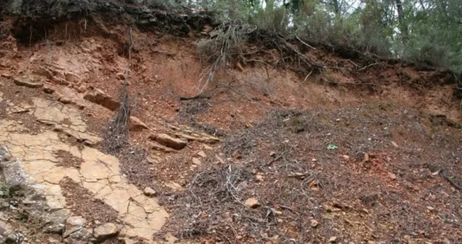 Litosol Nedir? Litosol Toprak Nerede Görülür, Özellikleri Neler ...