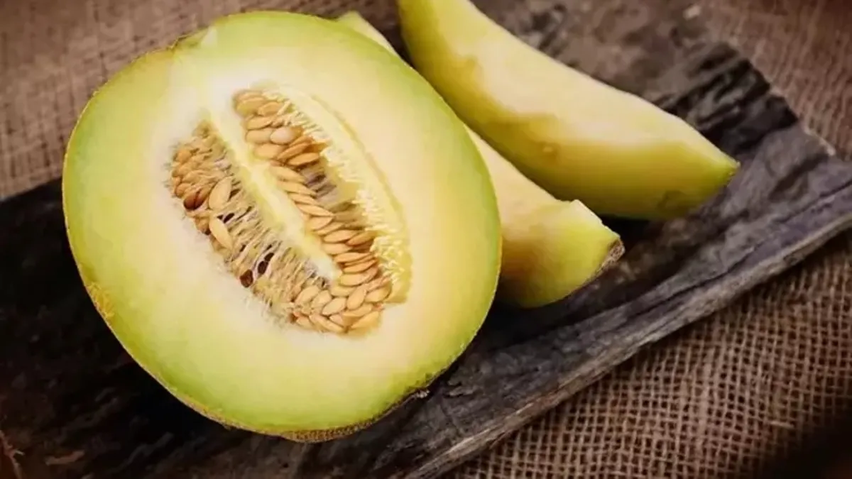 Dünyanın en pahalı kavunu! Masaj yapılarak yetiştiriliyor: Fiyatı duyanları şok ediyor