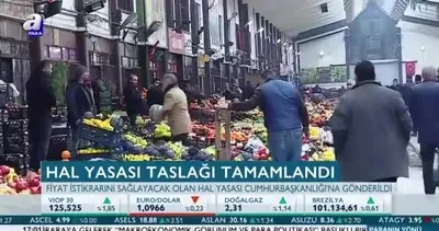 Hal yasası taslağı tamamlandı