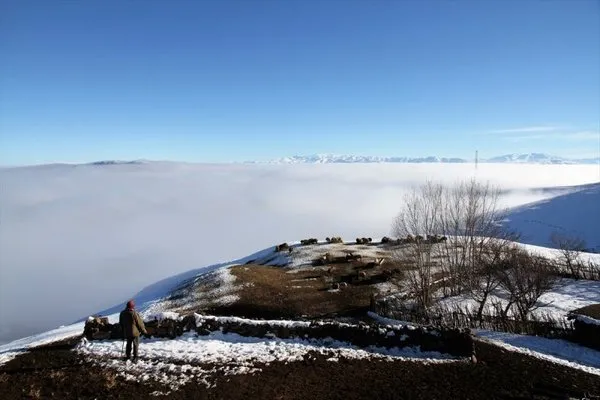 Muş Ovası’ndan muhteşem görüntüler
