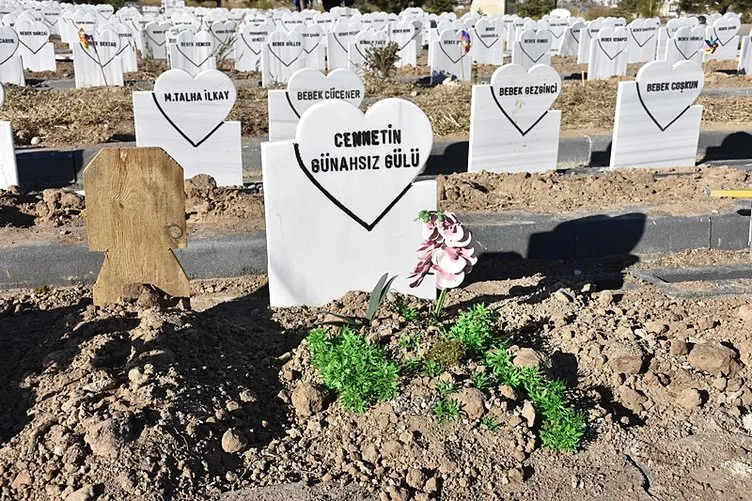 Sivas’ta parçalanmış bebeğin sırrı çözüldü: Aslında mezardan çıkaran…