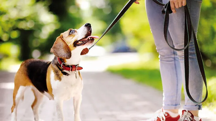 Ayakkabıyla ve kıyafetle eve virüs gelir mi? Uzman isim tek tek anlattı