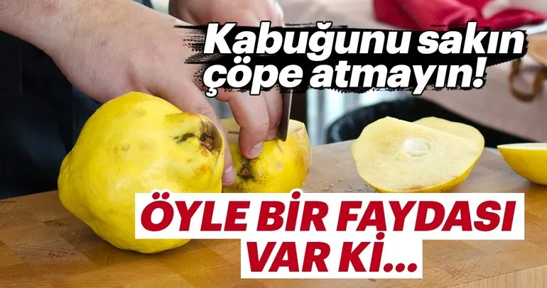 ayva cekirdeginin cilde faydalari nelerdir nasil surulur sayfa 2 kadin haberleri