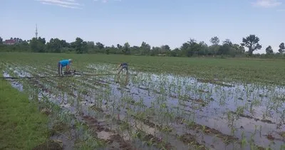 Çarşamba’da tarım alanları sular altında kaldı