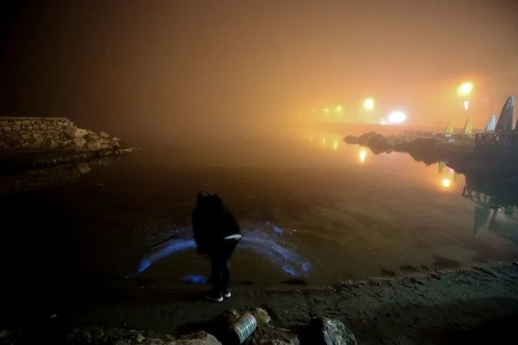 Marmara Denizi’nde esrarengiz mavi görüntü: Gece canlı canlı izlediler!