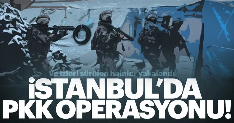 İstanbul’da PKK operasyonu: 8 örgüt üyesi yakalandı!