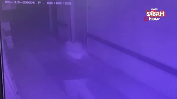 Hastanede ölü bulunan hemşirenin son görüntüleri ortaya çıktı | Video