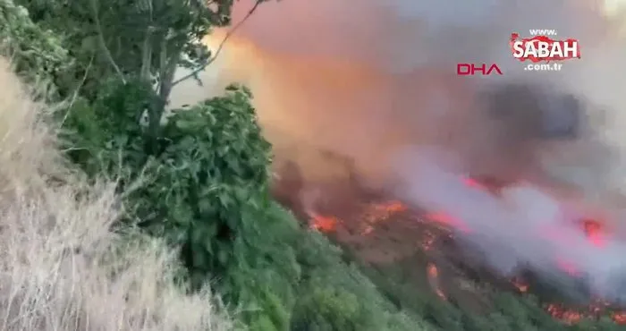Son dakika | Bursa Kestel’de orman yangını | Video