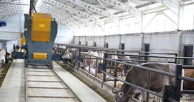 Modern ahırlar Erzurum'da devlet destekleriyle yaygınlaşıyor #erzurum