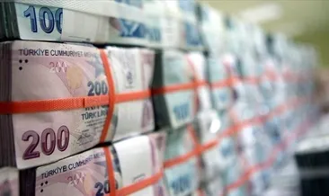 TL cinsi mevduat yüzde 1,6 arttı