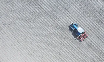 Sular çekildi ova pamukla buluştu