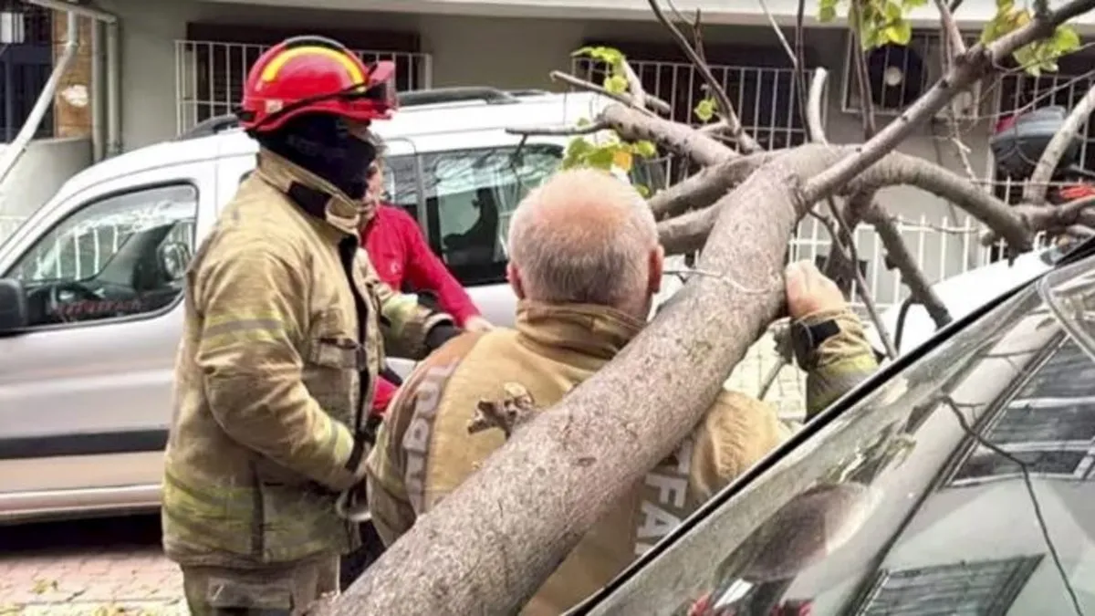 Şiddetli rüzgar Beşiktaş ve Şişli’de ağaçla elektrik direğini devirdi! Şiddetli rüzgar Beşiktaş ve Şişli’de ağaçla elektrik direğini devirdi!