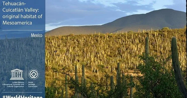 Meksika’nın Tehuacan-Cuicatlan Vadisi Dünya Mirası Listesi’nde