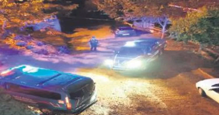 Ceviz dalını neden kestin kavgası:1 ölü