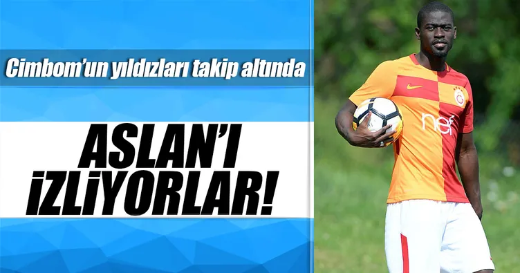Biri Aslan’ı gözetliyor