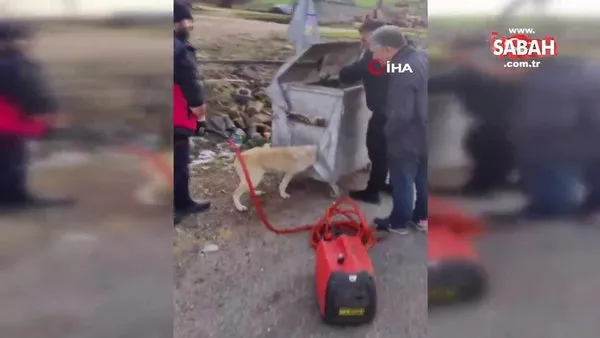 Diyarbakır’da kafası çöp konteynerine sıkışan köpek böyle kurtarıldı