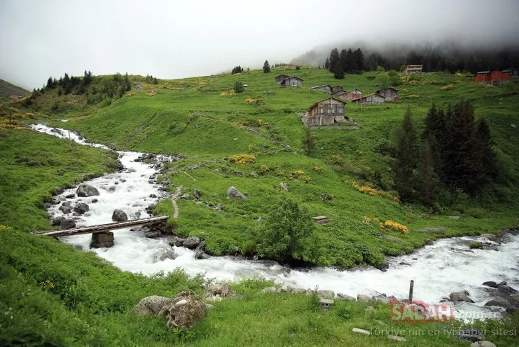 O bölgede dev turizm merkezi oluÅturuluyor! 11 yeni 'Ayder' bulundu!