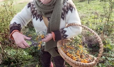 Kalpten kolesterole her derde deva!