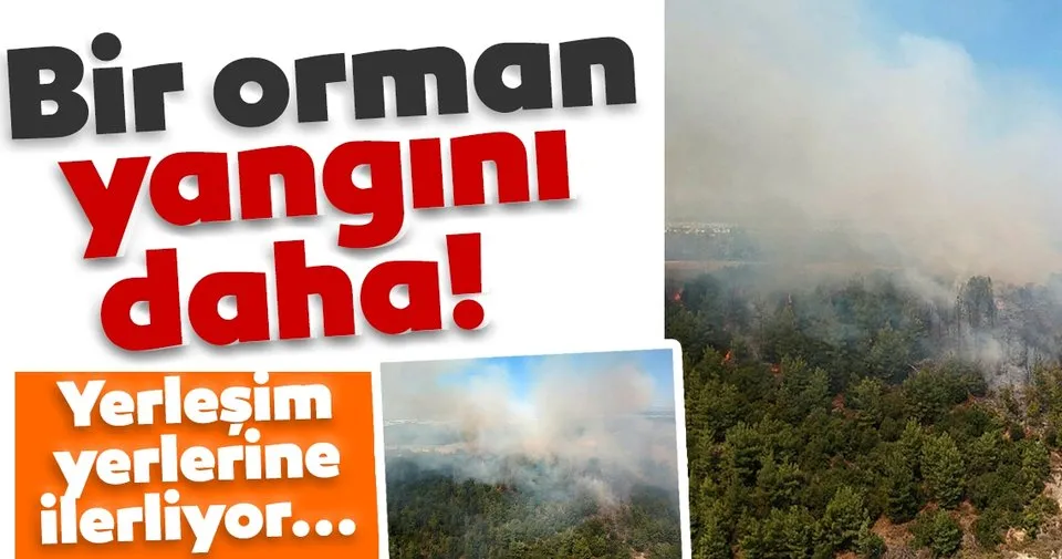 son dakika haberi antalya da buyuk