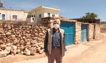 Mardin’deki Pelitli Köyü’nde hiç koronavirüs görülmedi