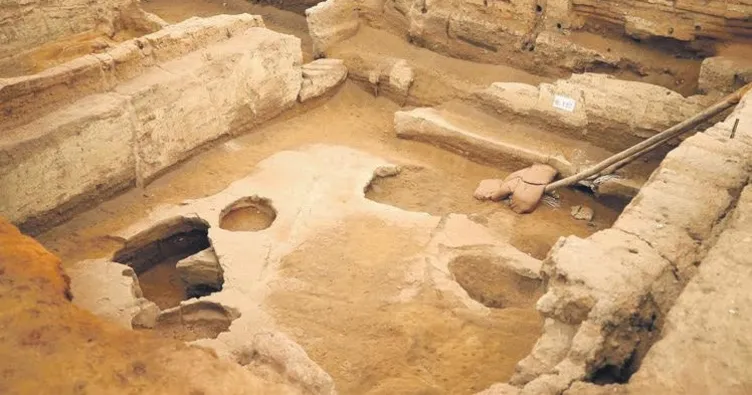 4 bin yıllık nohut 8 bin yıllık ekmek