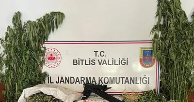 Bitlis'te esrar ve kenevir ele geçirildi #bitlis